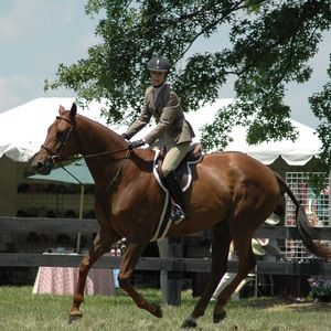 Meet your Posher, Carol lynn